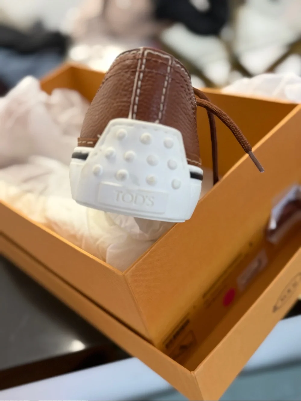 Tod's Brown Leather Low-Top Sneaker with White Trim